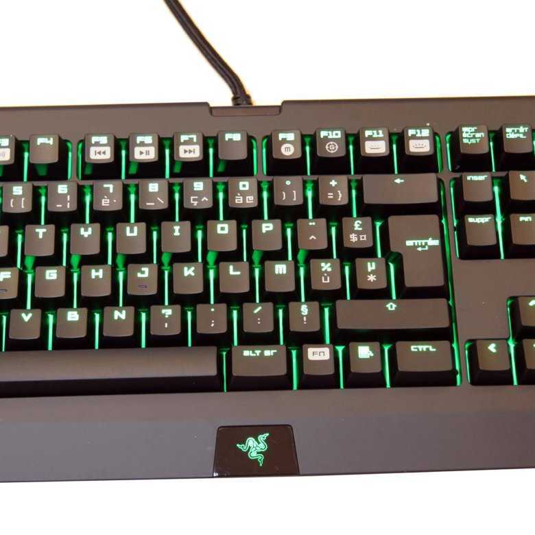 Razer blackwidow chroma обзор - нижняя часть - 2021