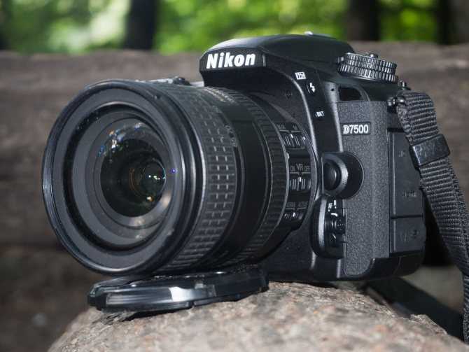 Nikon d7500: обзор и сравнение топовой любительской зеркальной камеры