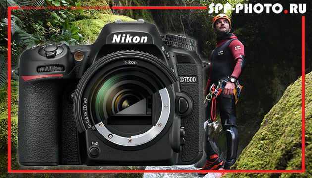 Обзор nikon d7500 — профессиональная камера по цене любительской