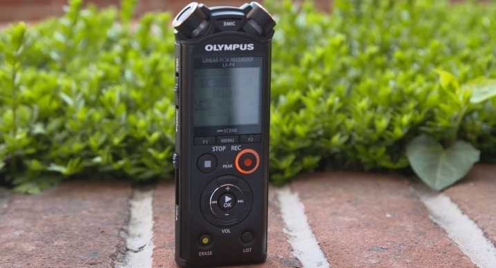 Диктофоны olympus: обзор ws-852, ws-853 на 8 гб и других цифровых моделей. как пользоваться? как стереть информацию?