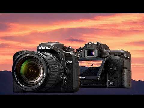 Nikon d5600 vs nikon d7500: в чем разница?