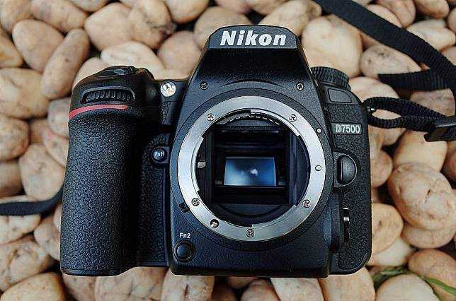 Тест зеркального фотоаппарата nikon d7500: с меньшим достигается большее | ichip.ru