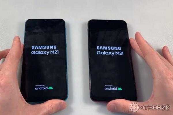 Samsung galaxy a20 vs samsung galaxy m11