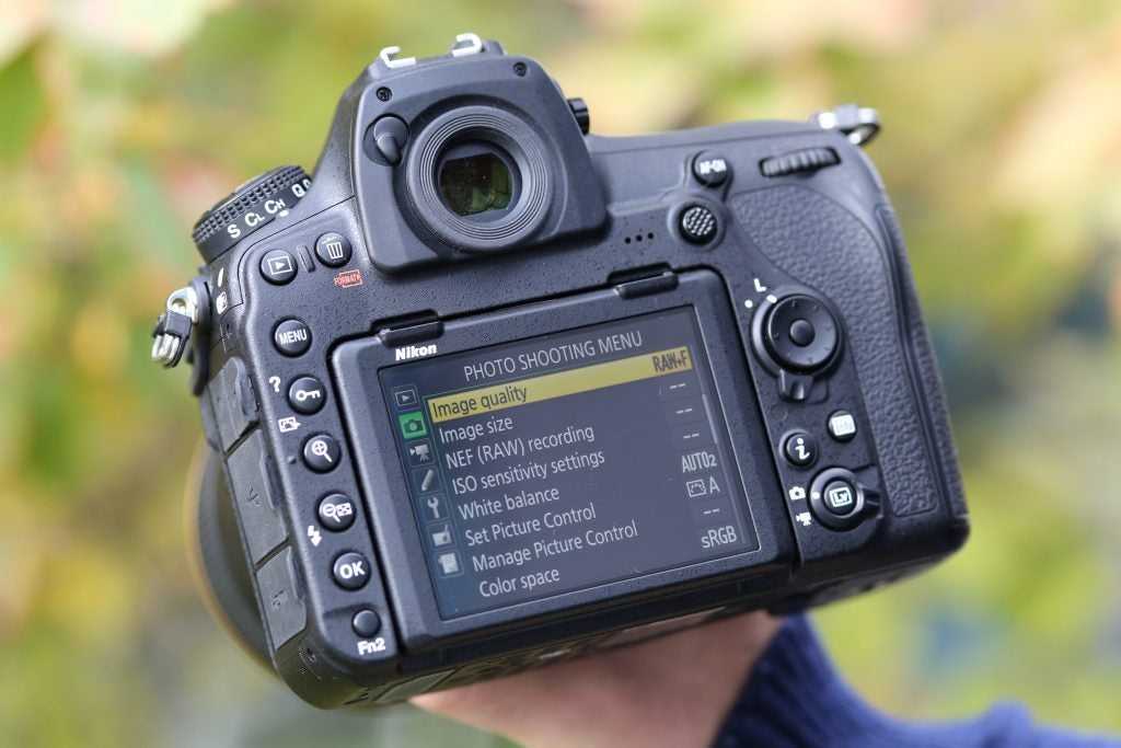 Обзор и тест фотокамеры nikon d850 | блог дмитрия евтифеева