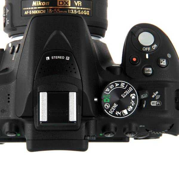 Nikon d3500 vs nikon d5300: в чем разница?