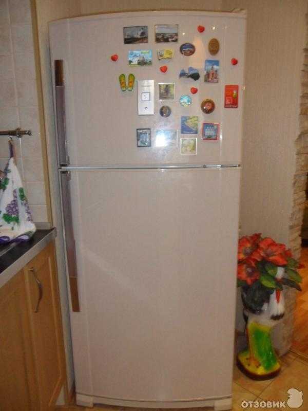 Холодильники sharp. топ лучших предложений | экспресс-новости